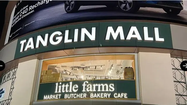 Mengenal Tanglin Mall, Pusat Perbelanjaan Ikonis di Orchard Road Singapura yang Dibeli Miliarder Indonesia Sukanto Tanoto