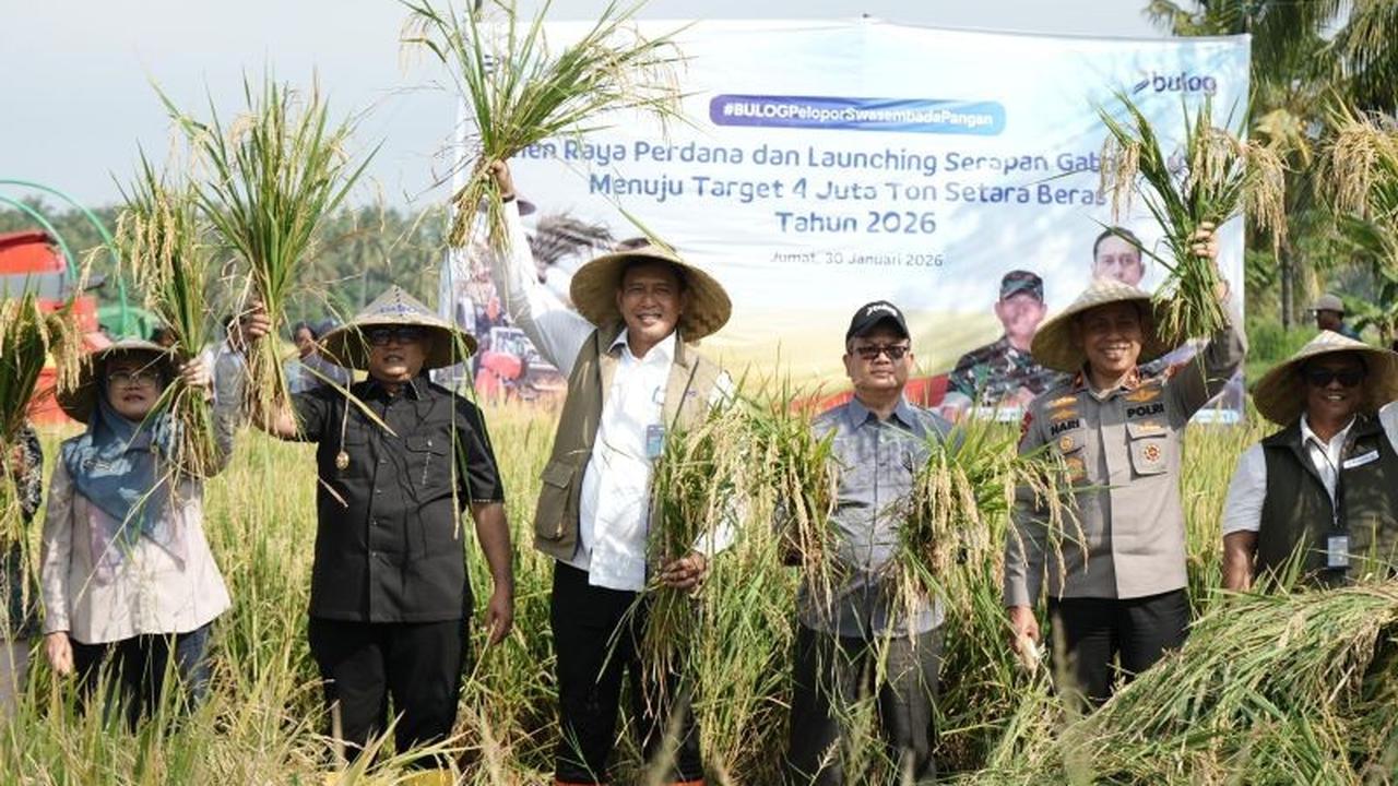 Bulog Tetapkan NTB sebagai Tumpuan Utama Penyerapan Beras Nasional Menuju Swasembada