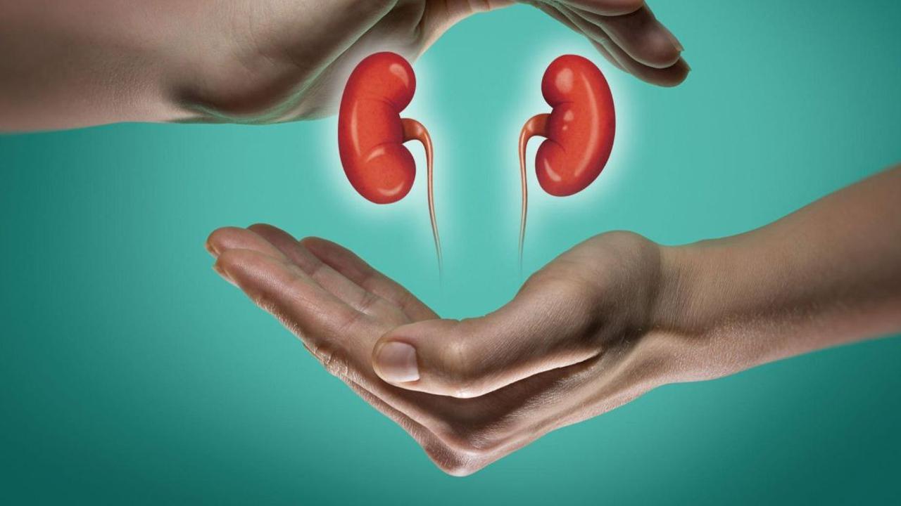Penyebab Kanker Ginjal yang Perlu Diwaspadai