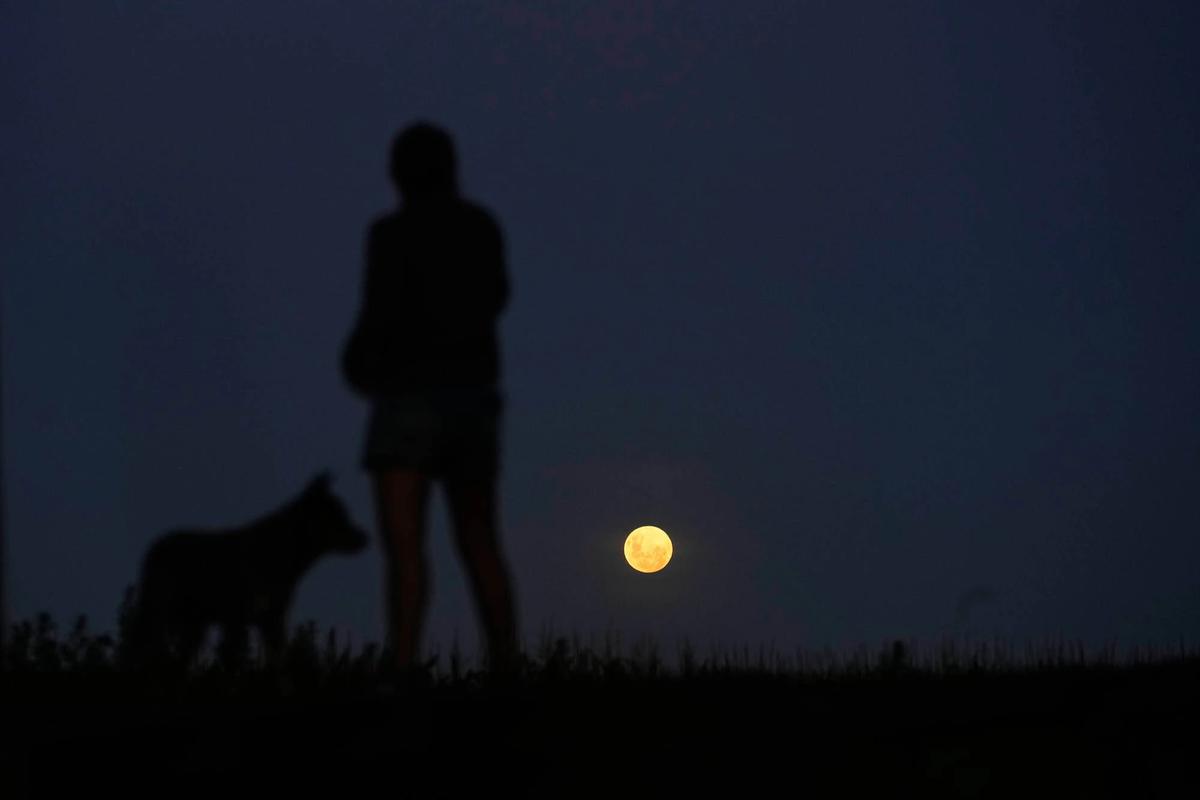 FOTO: Supermoon Wolf Moon Awali Fenomena Langit Tahun 2026
