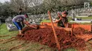 Petugas menggali tanah untuk makam almarhumah Ani Yudhoyono, istri Presiden Ke-6 RI yang berada di Blok M 129 Taman Makam Pahlawan (TMP) Kalibata, Jakarta, Sabtu, (01/6/2019). Lokasi makam berdampingan dengan makam istri Presiden B.J Habibie, Ainun Habibie. (Liputan6.com/Faizal Fanani)