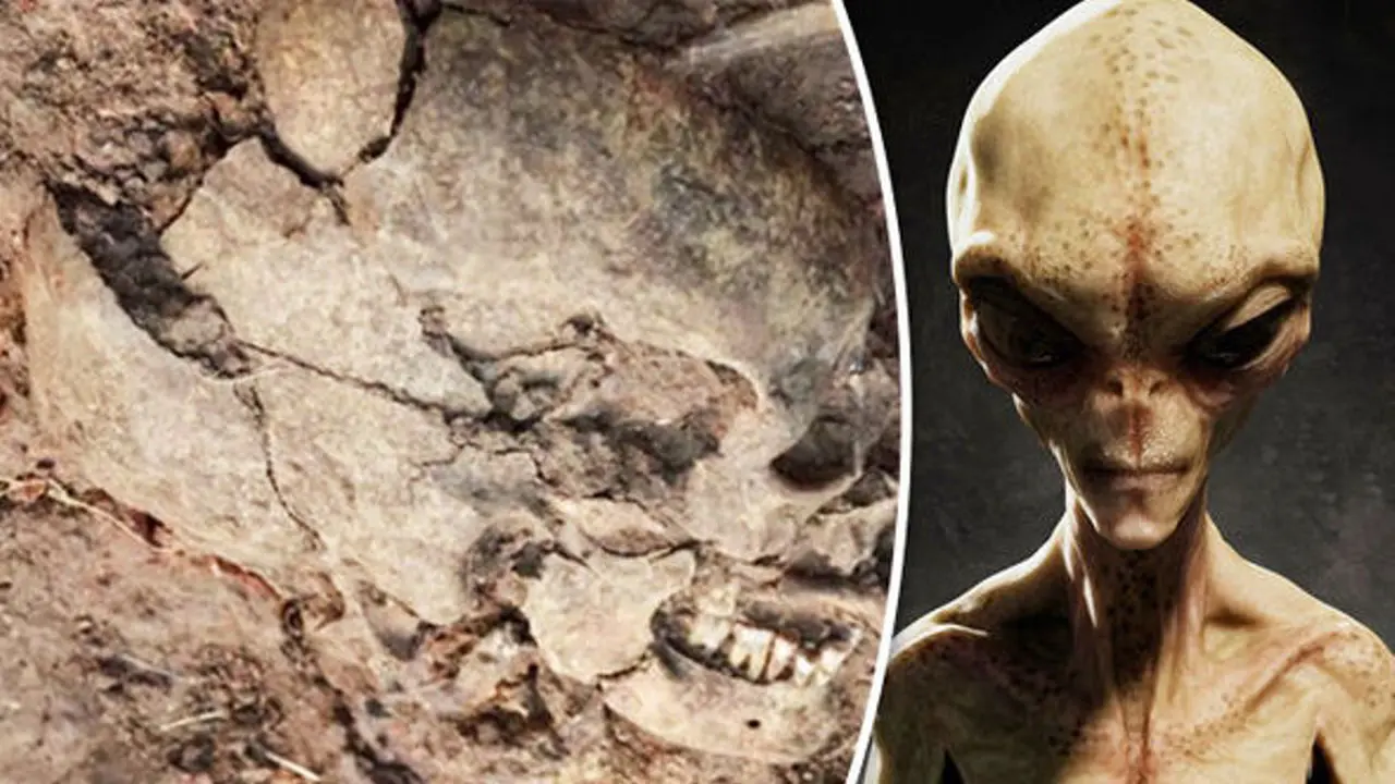 Temukan Tengkorak 'Telur', Ini Bukti Keberadaan Alien?