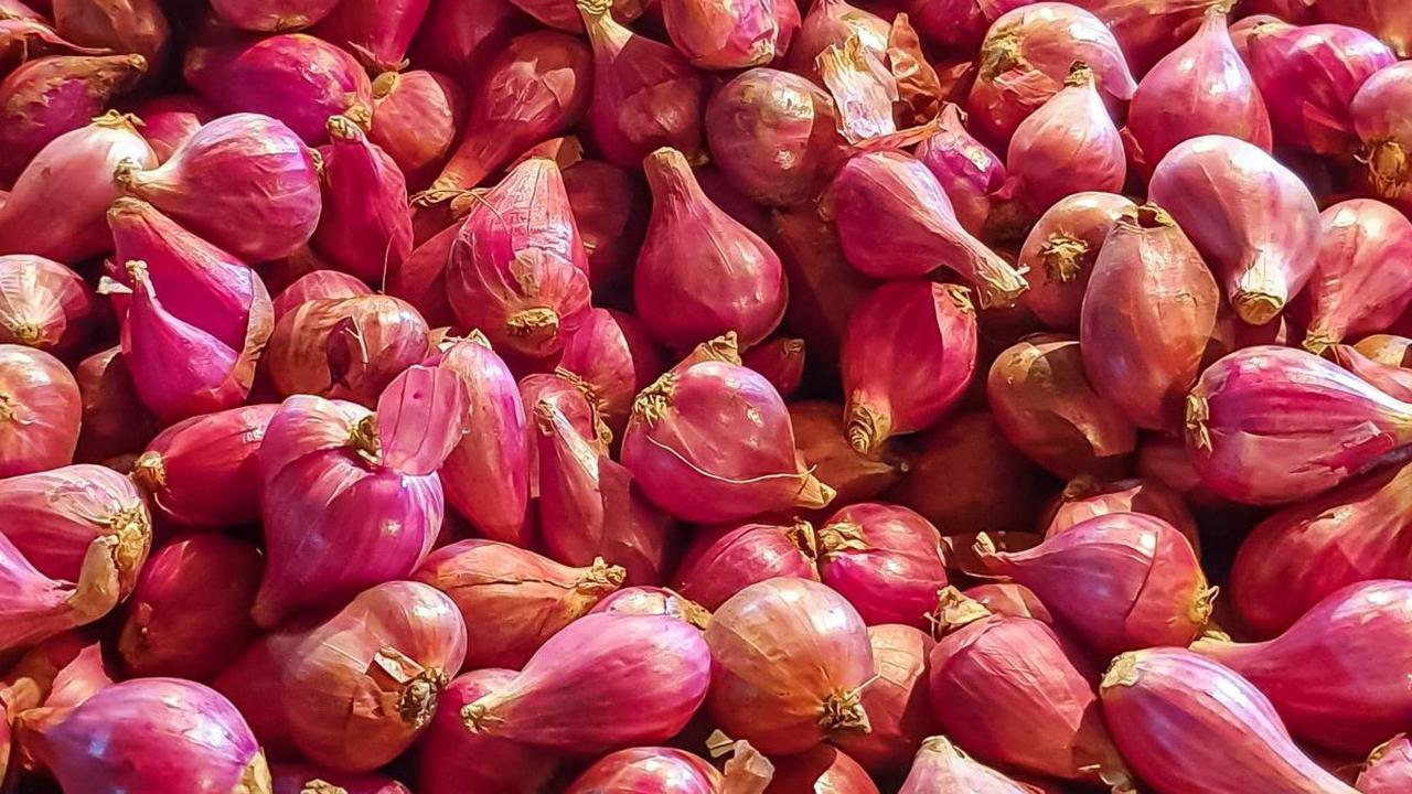 <b>4. Bawang Merah</b>