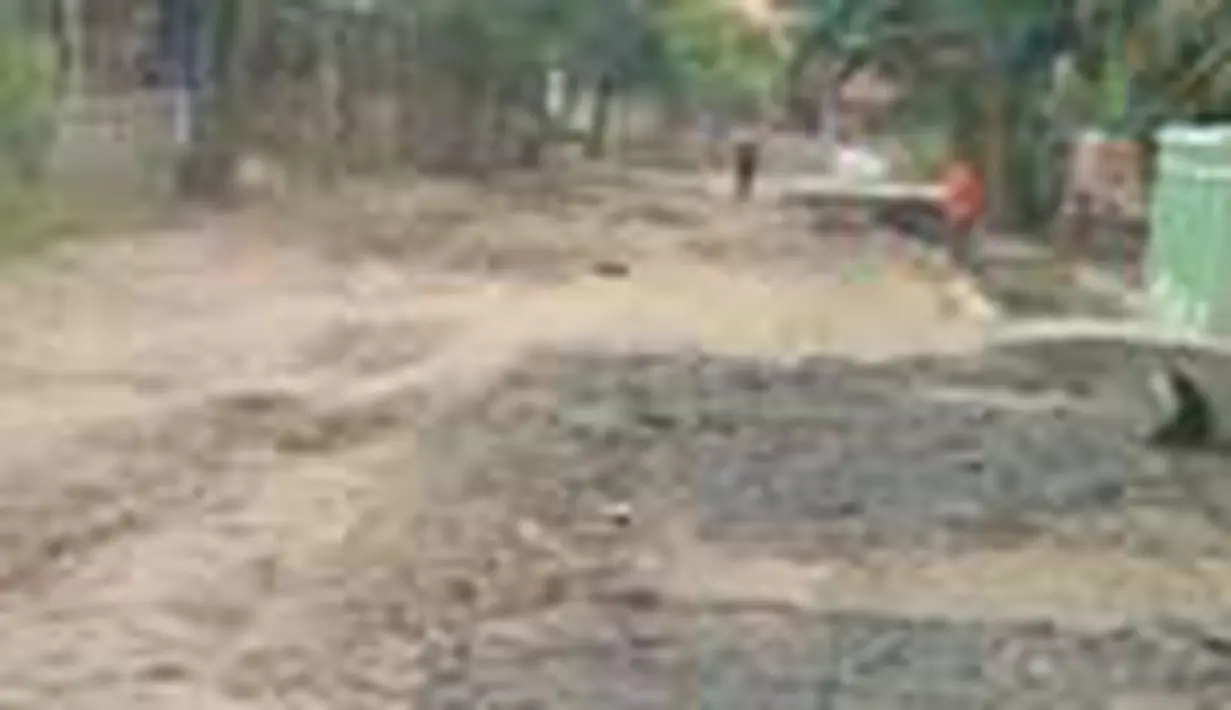 liputan6