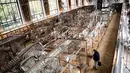 Pengunjung mengamati kerangka binatang yang ada di galeri anatomi komparatif Museum Sejarah Alam Prancis di Paris, Kamis (16/11). Museum yang menyimpan ribuan tulang belulang hewan dan benda purba ini berencana merenovasi gedungnya. (Martin BUREAU/AFP)