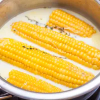 ilustrasi jagung/SEAGULL_L/Shutterstock