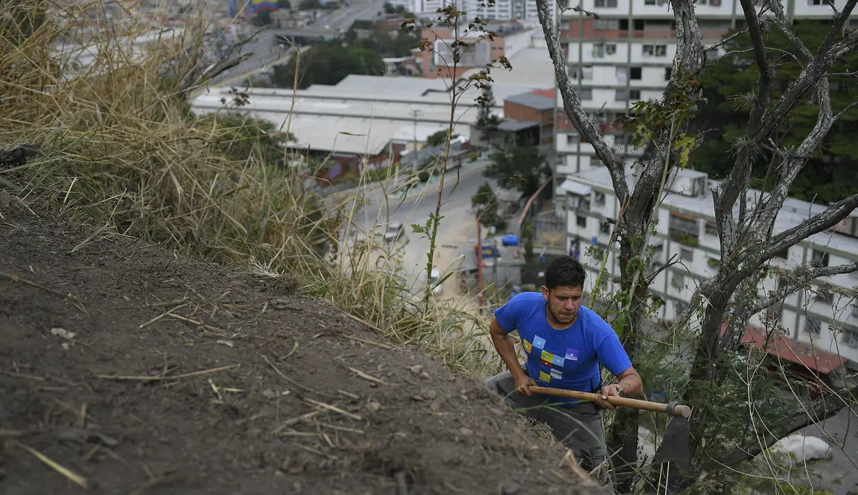 Seorang pria menyiapkan sebidang tanah untuk menanam sayuran di lingkungan 23 de Enero di Caracas, Venezuela, Selasa, 19 Januari 2021, di tengah pandemi virus corona baru. (AP Photo/Matias Delacroix)