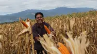 Krispian di tengah lahan jagung di Desa Kalawara, Kecamatan Gumbasa, Sigi, Sulawesi Tengah (Istimewa)