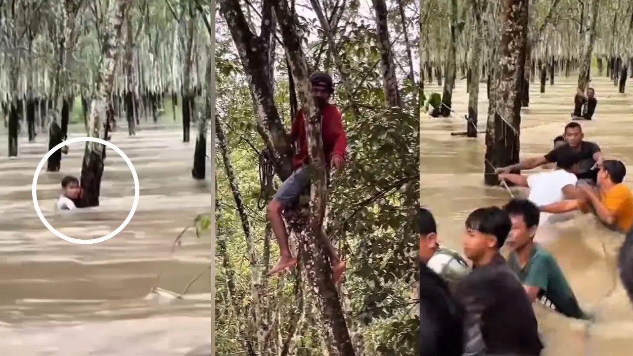 Detik-Detik Warga Evakuasi Pria Terjebak Arus di Kebun Karet Lampung Selatan