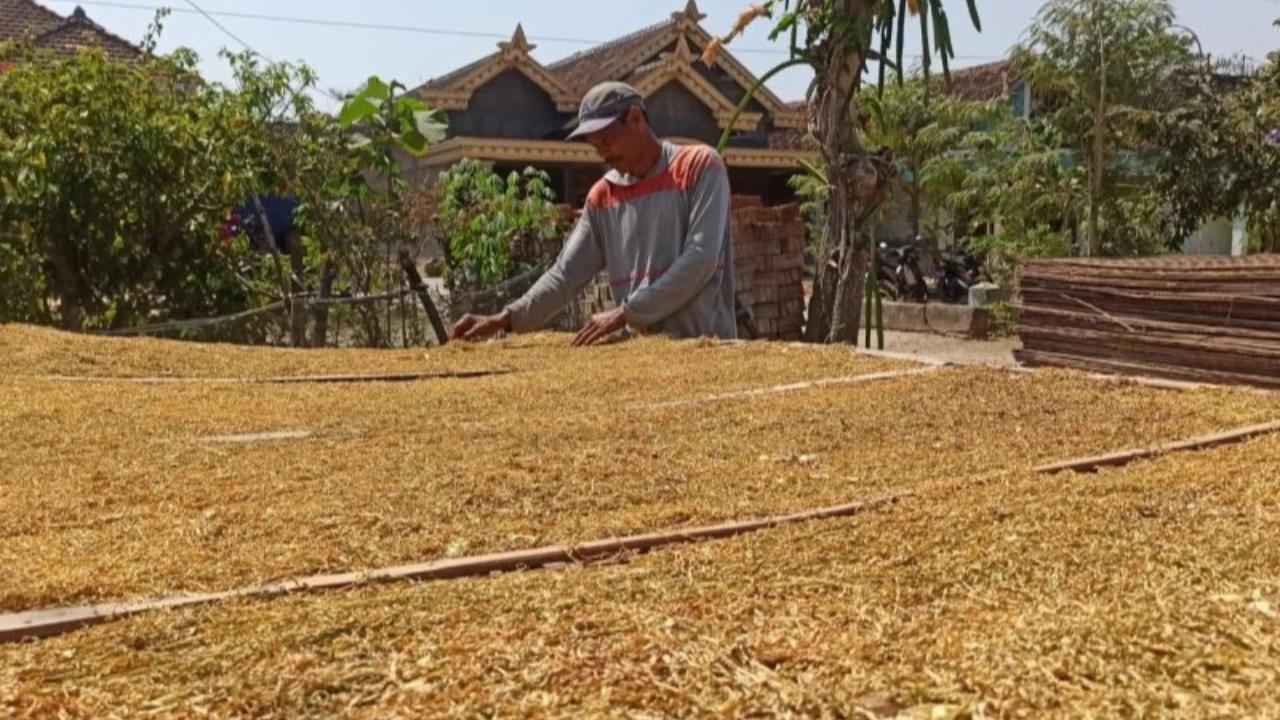 BPS Catat Inflasi Tahunan April 2026 Tembus 2,42 Persen, Makanan dan Tembakau Jadi Biang Kerok