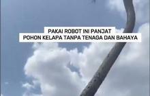 VIDEO: Pakai Robot Ini Panjat Pohon Kelapa Tanpa Tenaga dan Bahaya