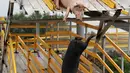 Sejumlah babi melompat ke kolam di sebuah peternakan di Shenyang, Liaoning, China, (17/8). Dengan cara ini babi-babi dinilai akan banyak bergerak sehingga mengurangi kandungan lemak ditubuhnya. AFP Photo/Str/China Out)