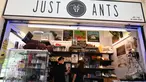 Orang-orang melihat tampilan formicarium yang menampung semut di dalam toko hewan peliharaan "Just Ants" di Singapura pada 23 September 2020. Pengusaha bernama John Ye membuka toko pertama di Singapura yang mengkhususkan diri menjual peternakan semut sebagai hewan peliharaan. (Roslan RAHMAN/AFP)