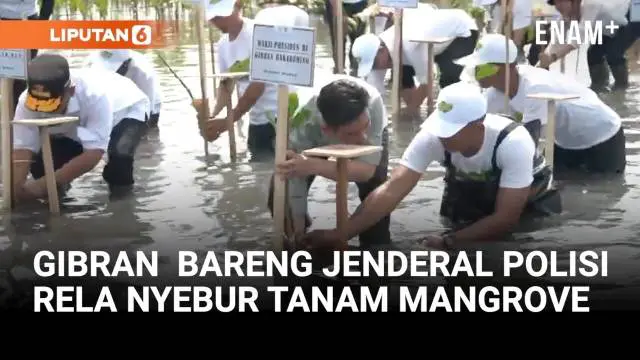 Rela Nyebur, Momen Wapres Gibran Bareng Jenderal Polisi Tanam Mangrove di Tangerang