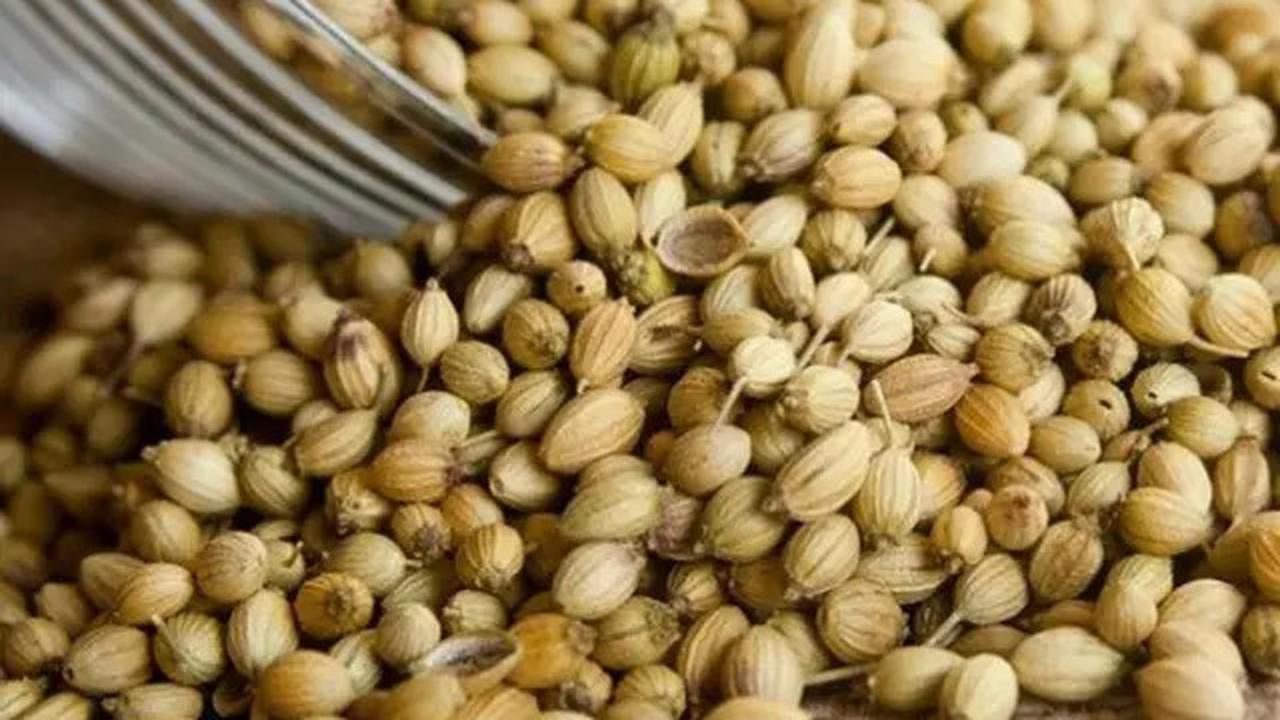 Trik Mudah Membuat Dendeng Garing dan Nikmat ala Rumah Makan Padang