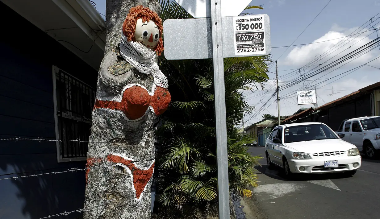 Replika pohon mangga, "The Woman in Red Bikini", yang dilukis oleh seorang penduduk, Gonzalo Sanchez di sudut jalan di lingkungan Escazu, Kosta Rika, Selasa (1/3). Lukisan tersebut menirukan sosok wanita yang mengenakan bikini. (REUTERS/Juan Carlos Ulate)