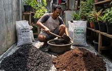 Alasan Media Arang Banyak Dipilih untuk Tanaman, Ketahui Kelebihan, Kekurangan, dan Jenis yang Cocok