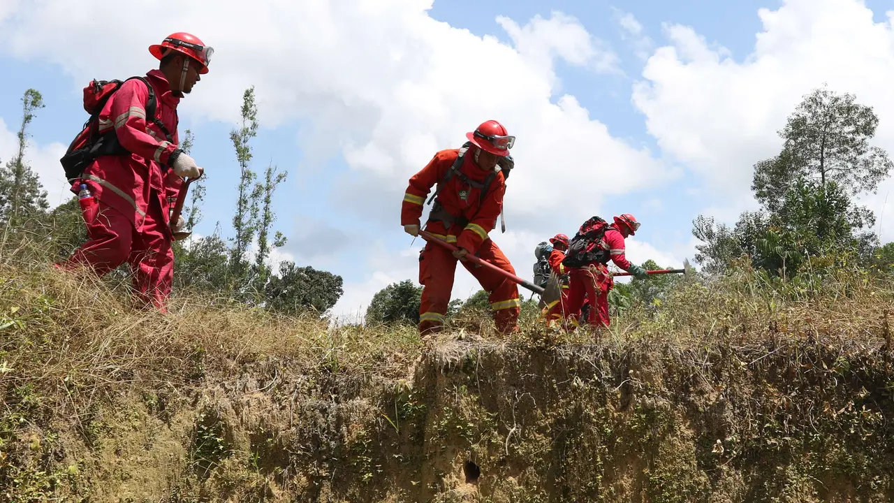Antisipasi Kebakaran Hutan Jelang Asian Games 2018