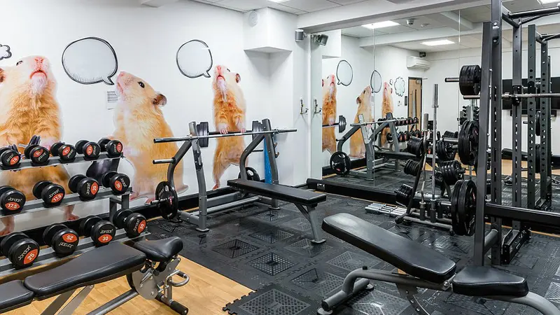 Tempat gym di kantor pusat money.co.uk