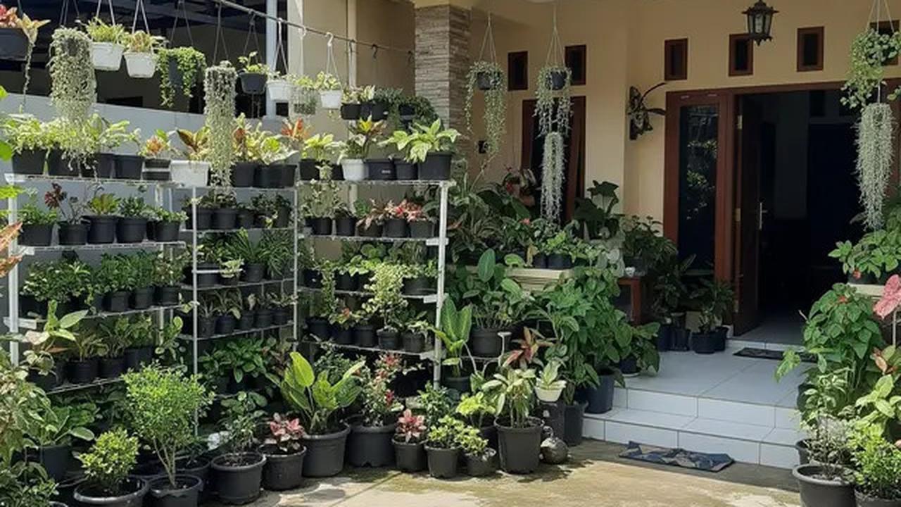 10 Ide Pekarangan Rumah Minimalis Tanpa Pagar yang Estetik di 2025, Fungsional dan Ramah Lingkungan