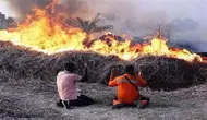 Kebakaran Hutan Kalteng yang Menggerus Penghasilan Warga
