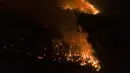 Kebakaran menghanguskan hutan di dekat Ituzaingo, provinsi Corrientes, Argentina (19/2/2022). Kebakaran terus melanda provinsi Corrientes yang telah menghanguskan lebih dari setengah juta hektar. (AP Photo/Rodrigo Abd)