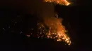 Kebakaran menghanguskan hutan di dekat Ituzaingo, provinsi Corrientes, Argentina (19/2/2022). Kebakaran terus melanda provinsi Corrientes yang telah menghanguskan lebih dari setengah juta hektar. (AP Photo/Rodrigo Abd)