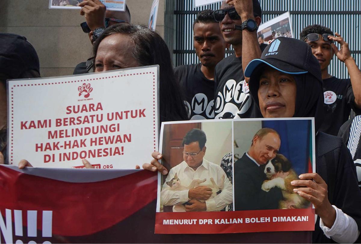 Aktivis Hewan Luapkan Kekecewaan RUU Perlindungan Anjing-Kucing Gagal Masuk RUU Prolegnas
