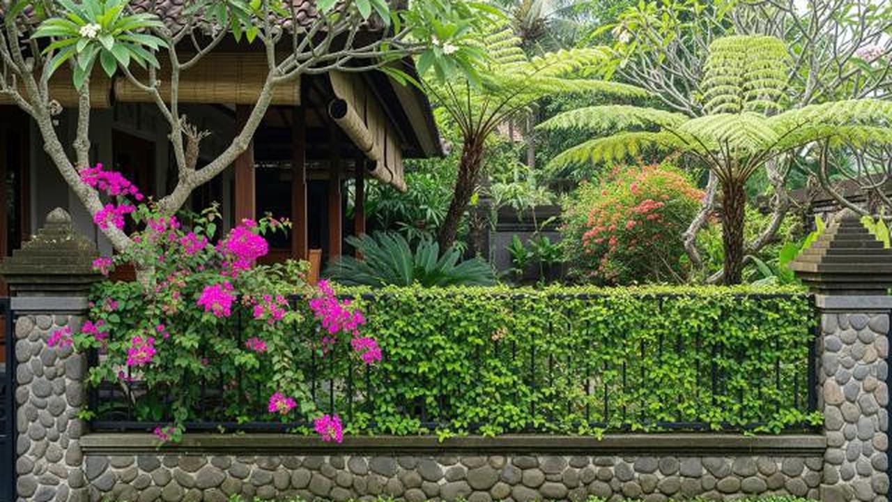 Pagar Batu Kali Setengah Badan dengan Tanaman Merambat/Pagar Rumah Natural dengan Batu Kali (Sumber: gemini.com)