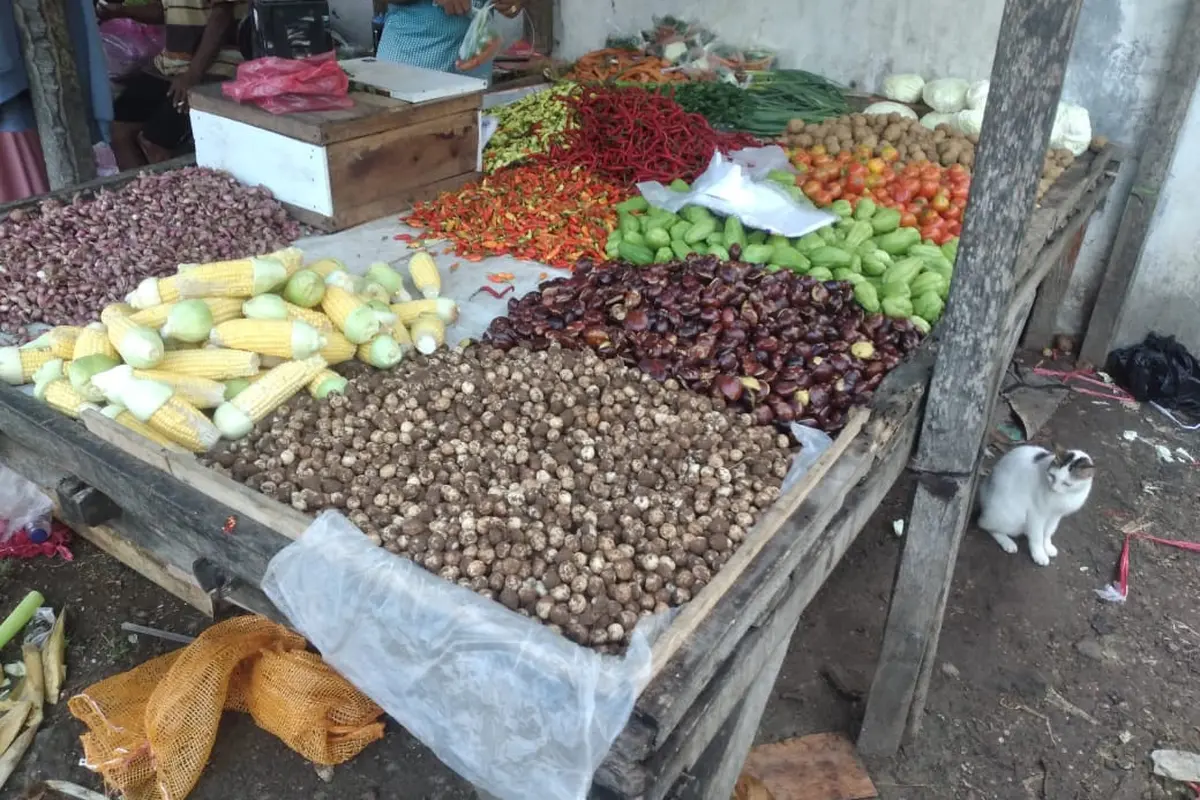 Sayuran
