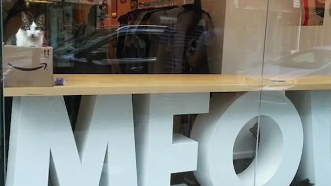 Foto: copyright brit.co