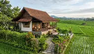 9 Inspirasi Rumah dengan Pemandangan Sawah yang Tetap Privat, Berikan Rasa Tenang tanpa Gangguan Tetangga