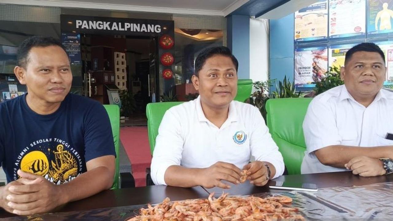 Fakta Menarik: Badan Mutu KKP Jamin Kualitas Udang Bangka Belitung Aman dari Isu Pencemaran
