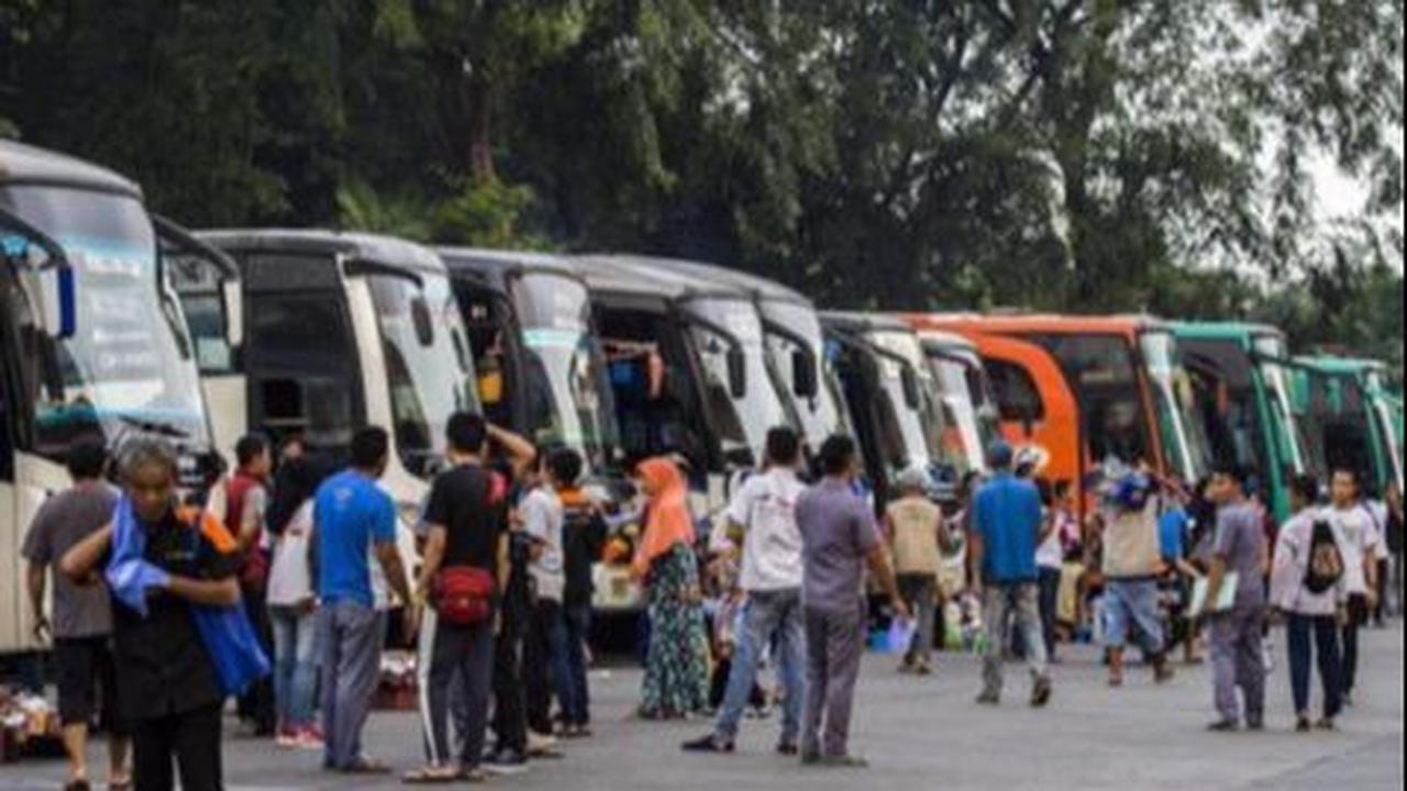 1. Bus