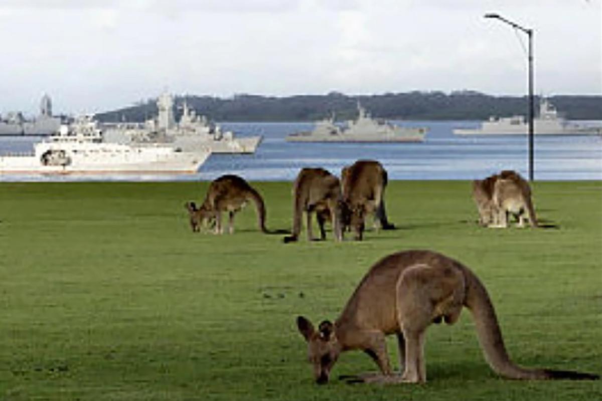 FOTO: KRI Raden Eddy Martadinata-331 Ikuti IFR dan Latma Kakadu 2026 di Australia