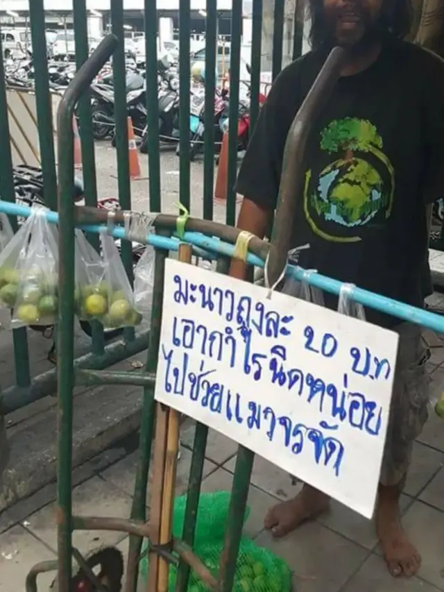 Bikin Haru, Demi Beri Makan Kucing Tunawisma Ini Rela Berjualan Jeruk