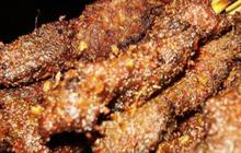 Mencicipi Sate Asem Khas Betawi, Olahan Daging dan Kelapa yang Kini Mulai Langka