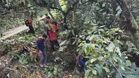 Tak Kunjung Pulang dari Kebun, Wanita Lansia di Palopo Dilaporkan Hilang