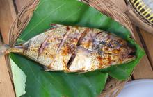 10 Rekomendasi Tempat Makan Ikan Bakar di Manado, Beri Pengalaman Kuliner Tak Terlupakan