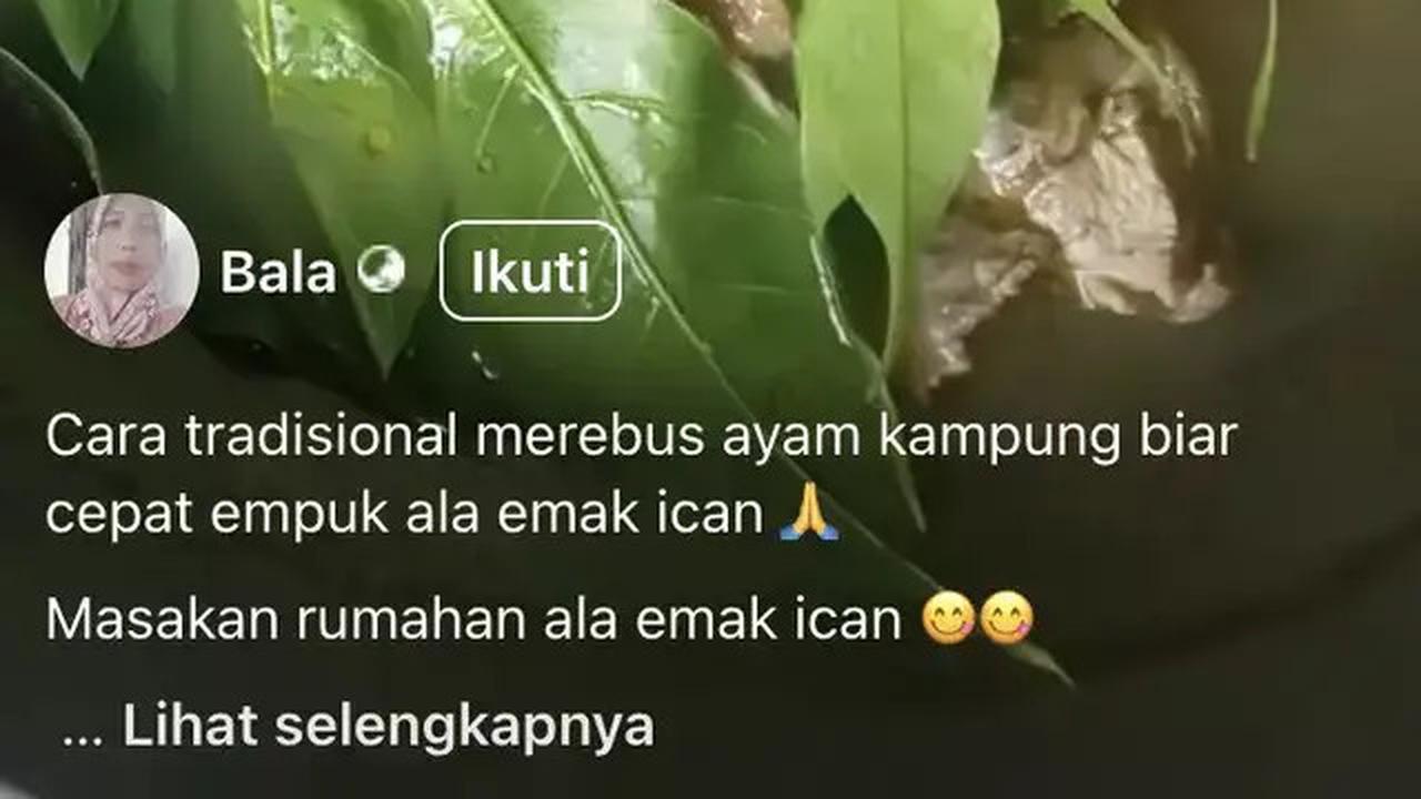 Cara Memasak Ayam Kampung Empuk Tanpa Presto, Cukup Pakai Satu Bahan Ini