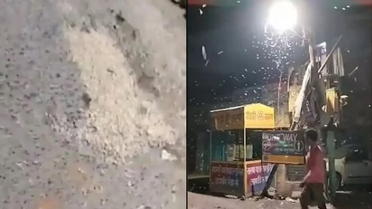 Viral Hujan Cacing di India, Fenomena Unik Bikin Warga Bingung
