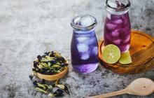 5 Resep Minuman Bunga Telang yang Mudah, Praktis Dibuat, dan Enak Disajikan Saat Dingin
