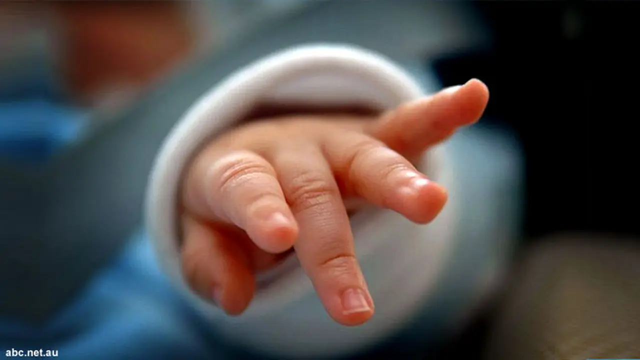 sperm-kompilasi-121127a.jpg