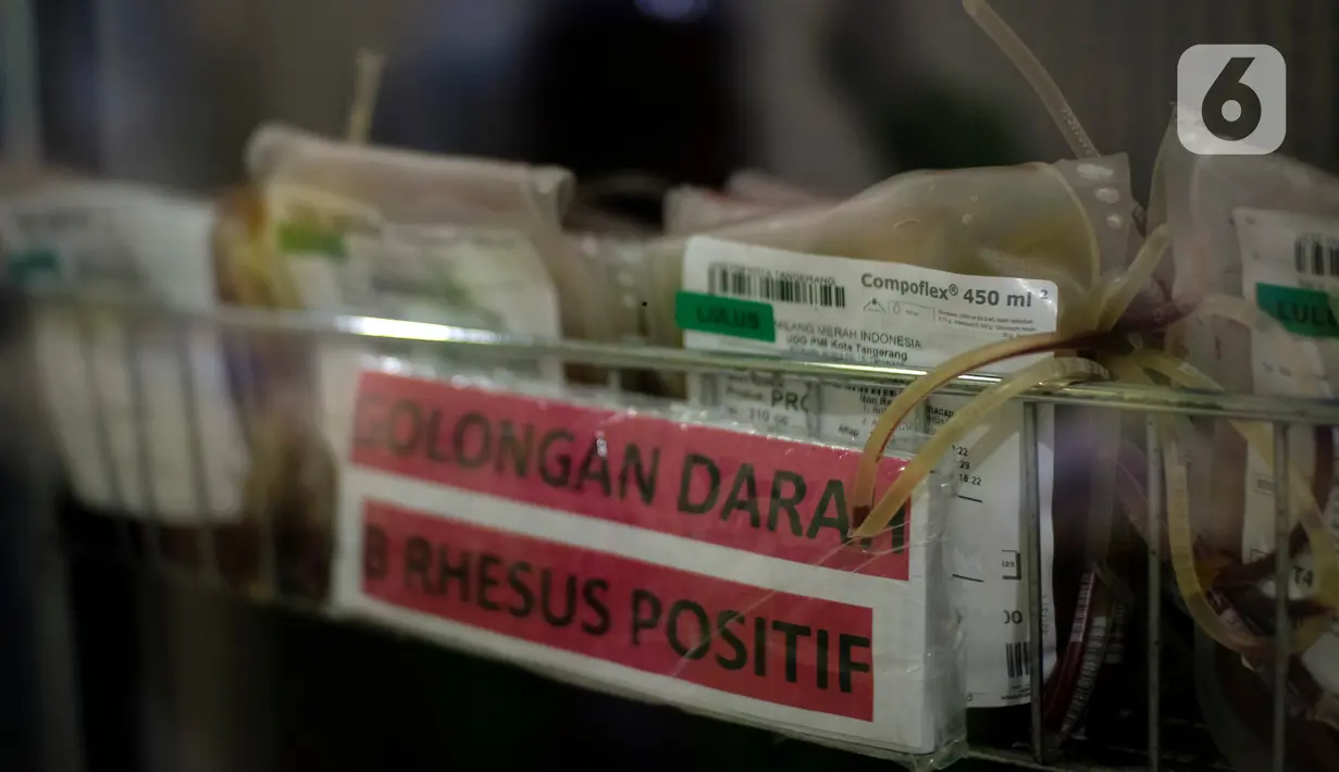 Stok darah terlihat di Laboratorium Palang Merah Indonesia (PMI) Kota Tangerang, Banten, Jumat (28/8/2020). PMI Kota Tangerang menyatakan ketersediaan stok darah berkurang drastis. (Liputan6.com/Angga Yuniar)