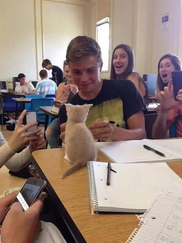 10 Kelakuan Kocak Kucing Bila Sedang di Dalam Kelas, Bikin Ketawa