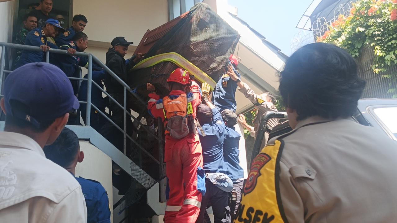 Masih Misterius, Asal Usul Macan Tutul Nyasar ke Hotel Bandung Bikin Heboh Pengunjung