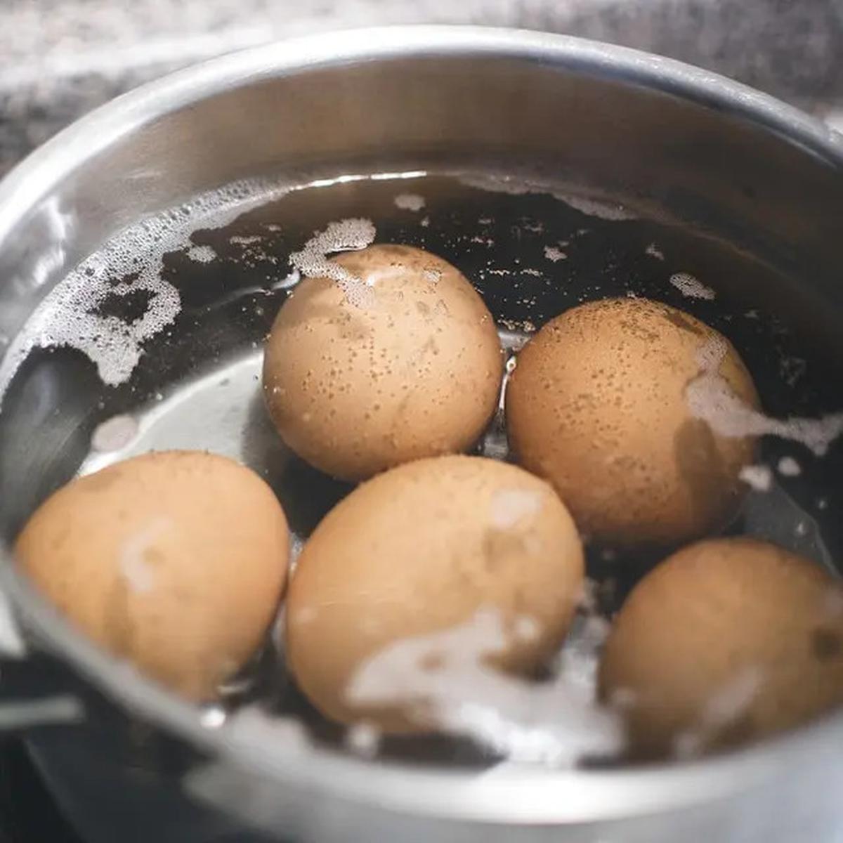 11 Sumber Protein Terbaik yang Dapat Anda Makan Menurut Ahli