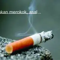 Cara agar kamu tetap sehat tetapi masih bisa tetap merokok. 