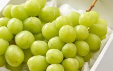 Alasan Mengapa Buah Anggur Perlu Dicuci Sebelum Dimakan, Bahaya Jika Dikonsumsi Langsung