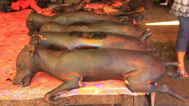 Dari Kucing Sampai Tikus, 6 Makanan Ekstrem dari Minahasa - Lifestyle